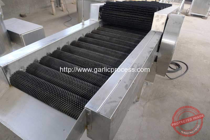 Garlic-Bulb-Dry-Cleaning-and-Selecting-Line